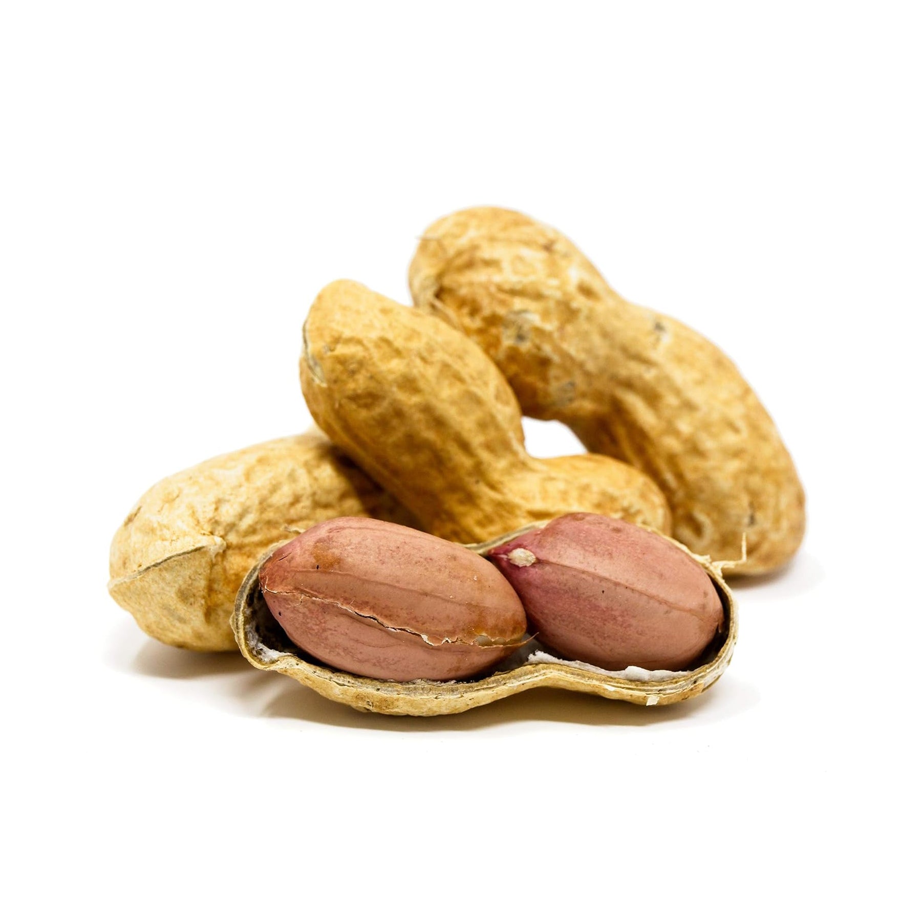 PEANUT ROAST UNSALTED 24/16OZ