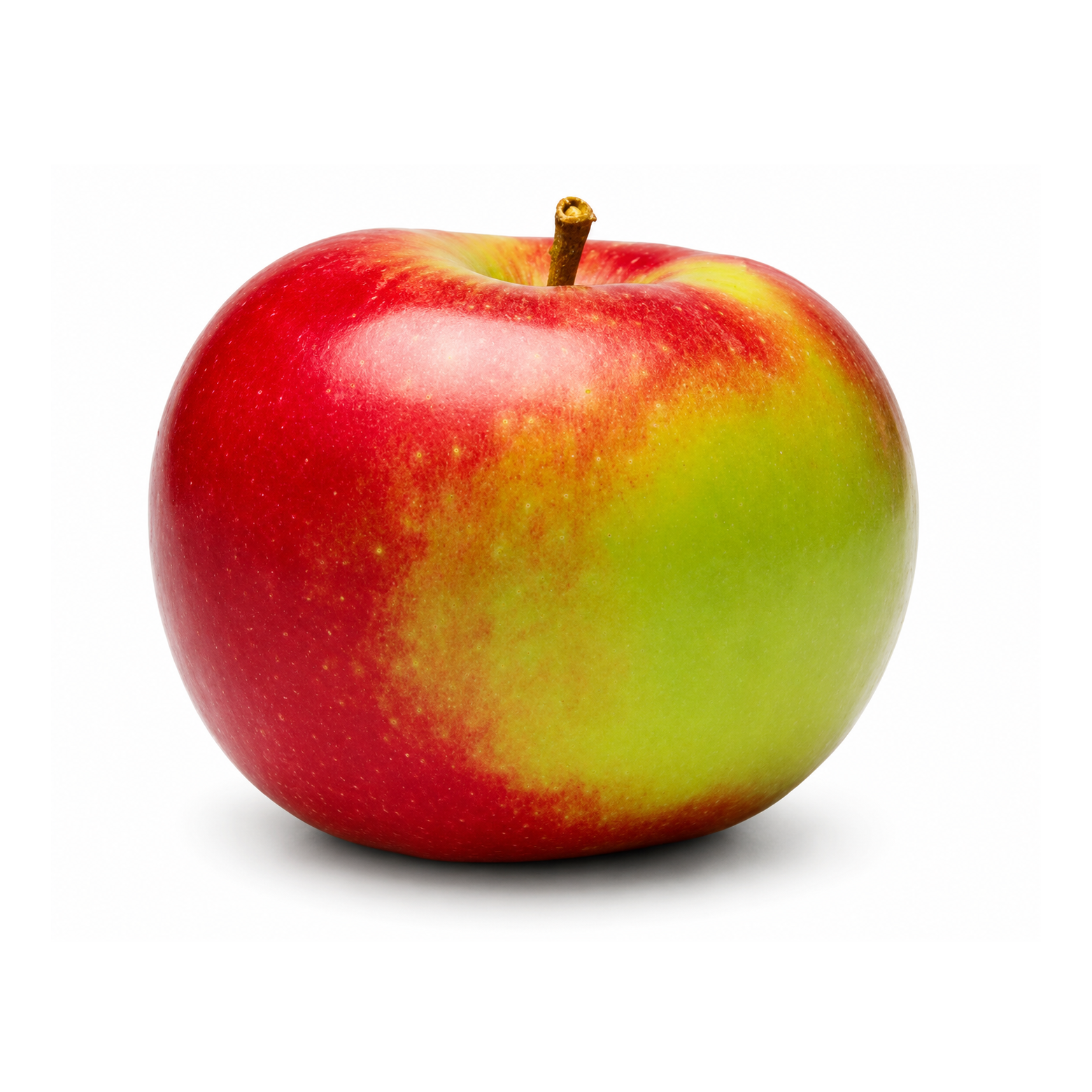 APPLE MCINTOSH