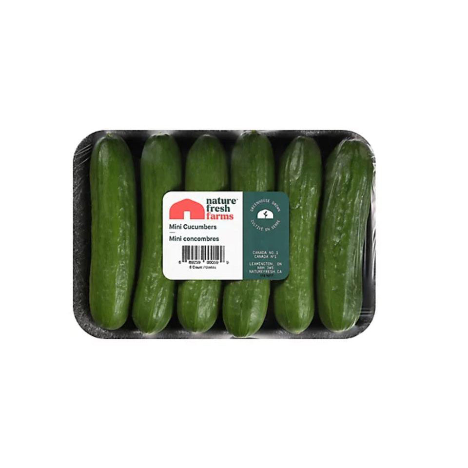 CUKE PERSIAN PK 12/1LB