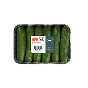 CUKE PERSIAN PK 12/1LB