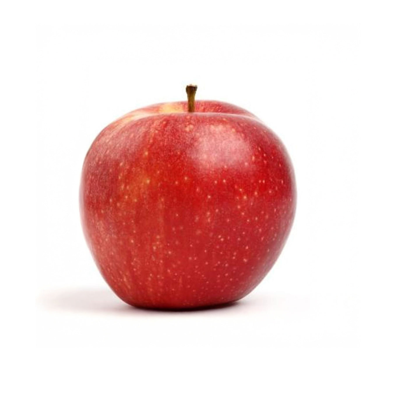 APPLE FUJI