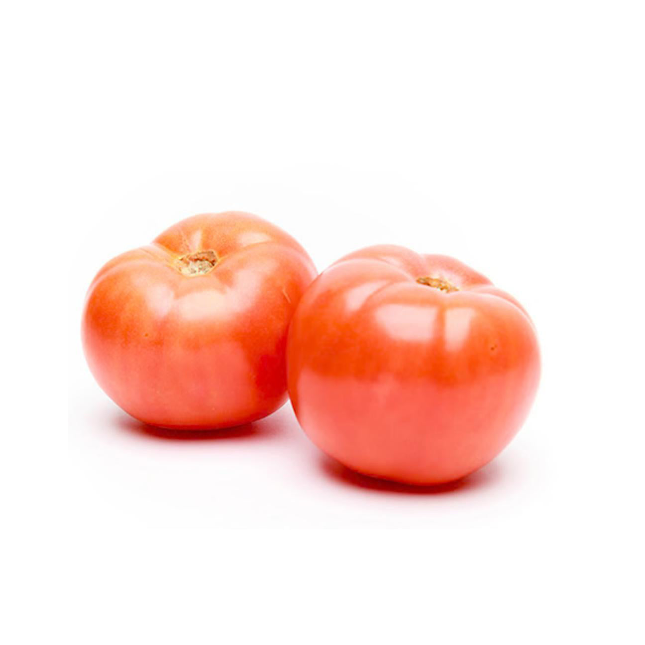 TOMATO 5X6