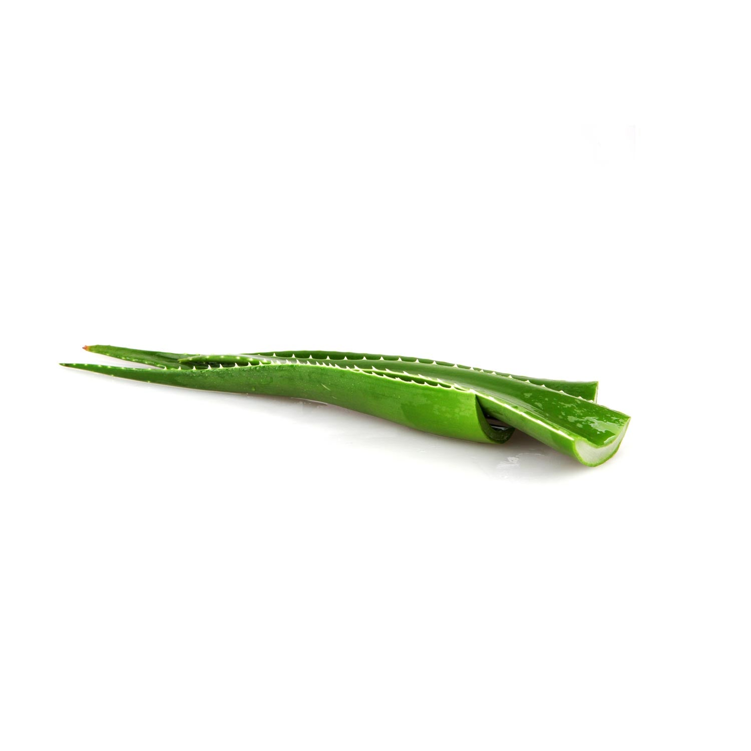 ALOE VERA 25LB