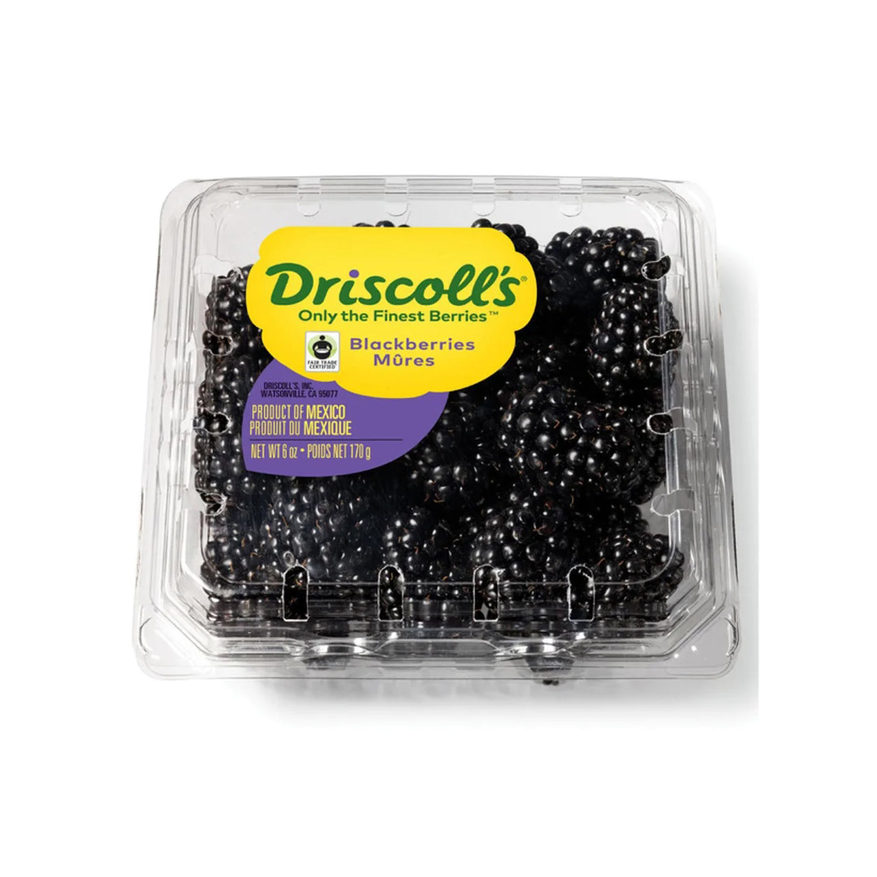 BLACKBERRY DRISCOLL