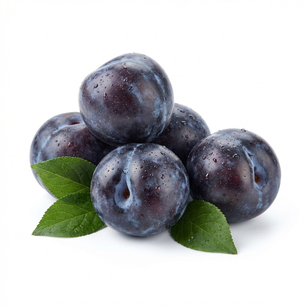 PLUM BLACK