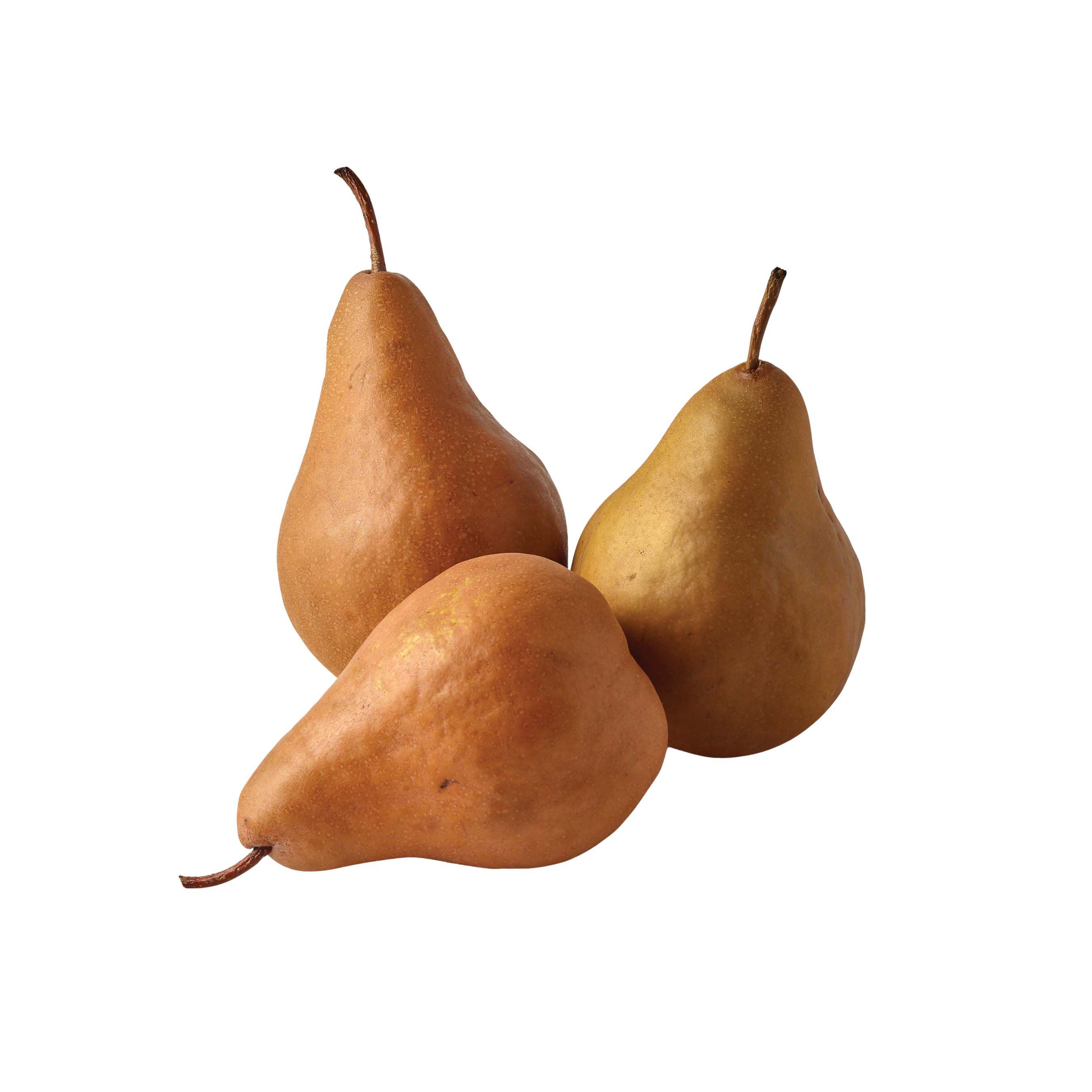 OG PEAR BOSC 80/100CT