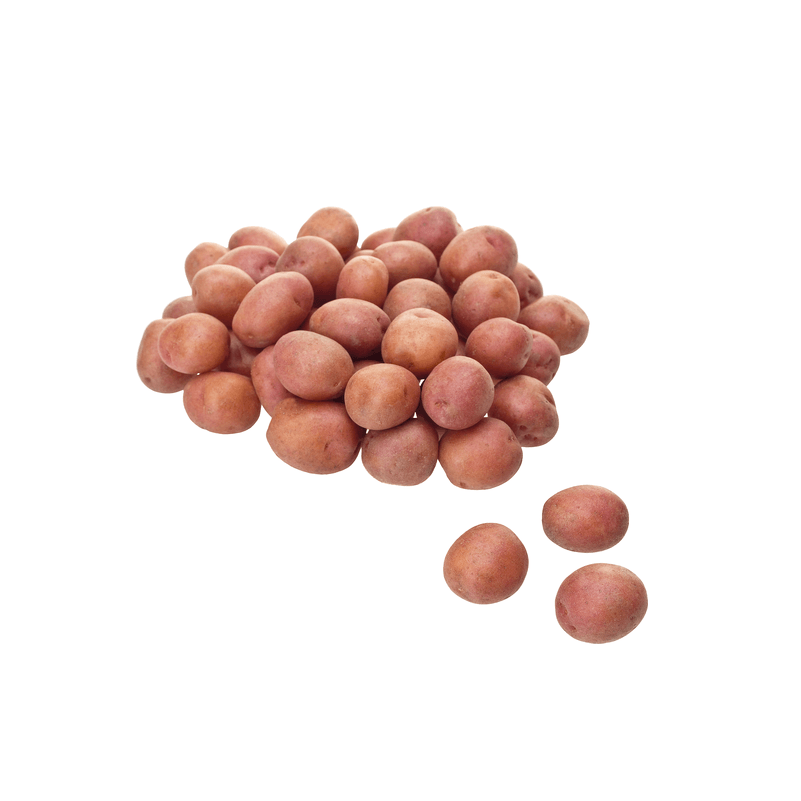 POT RED C 50LB