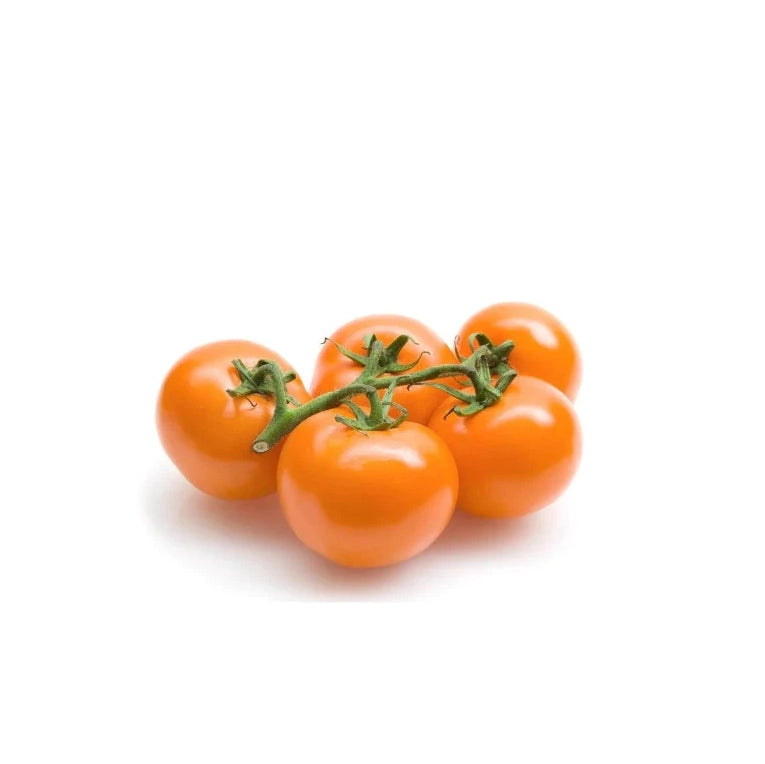 TOMATO VINE 11LB