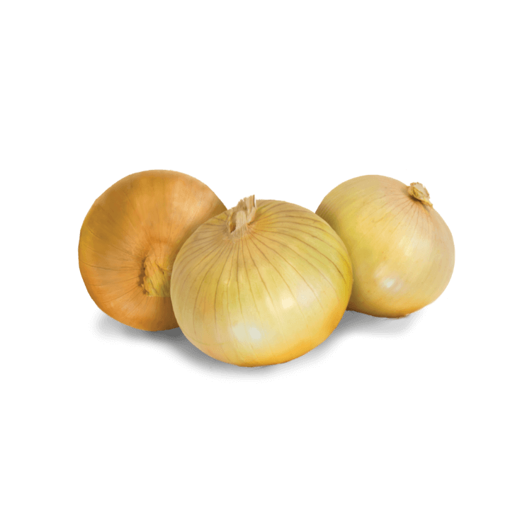 ONION VIDALIA 40LB