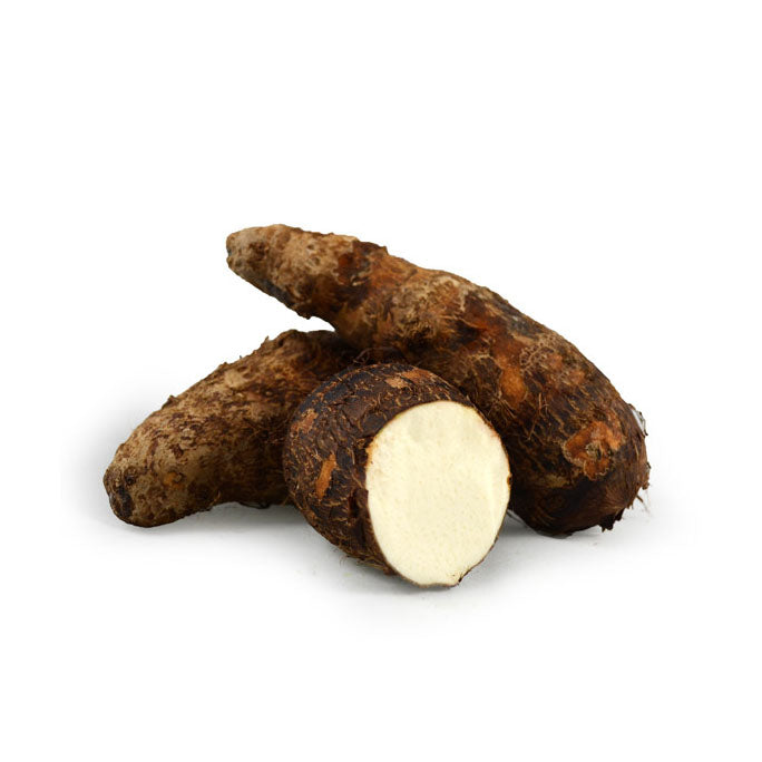 YAUTIA WHITE